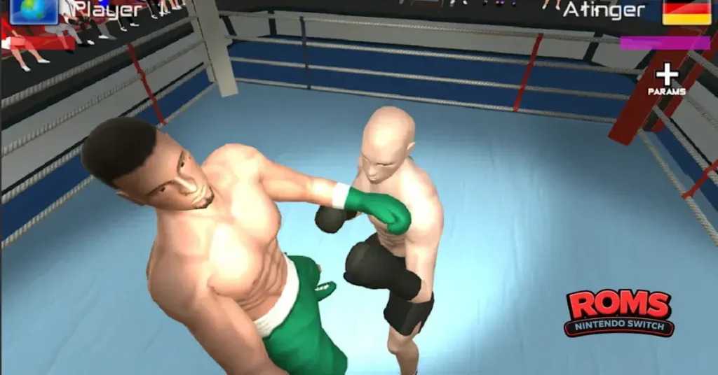 International Boxing