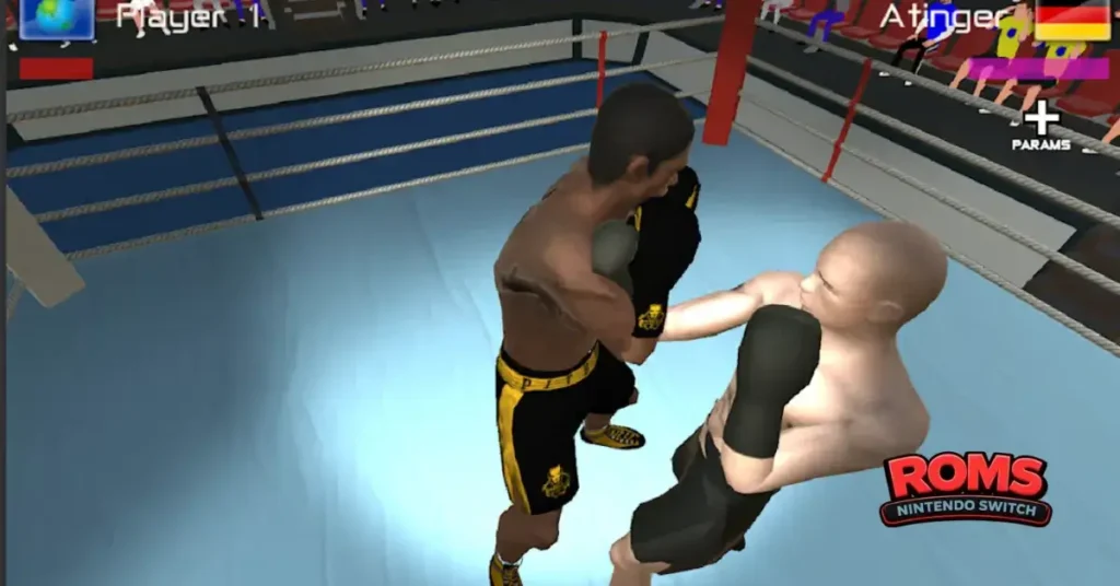 International Boxing